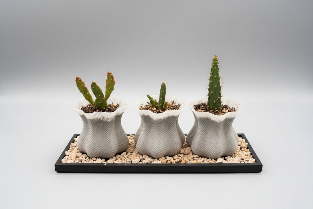 Viral Cloud Set - Spring Collection Vase & Planter