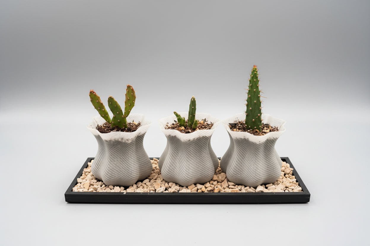 Viral Cloud Mini Planter Set - Spring Collection (Set of 3 with Black Tray)